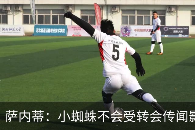 萨内蒂：小蜘蛛不会受转会传闻影响 帕斯可能成为阿根廷关键球员